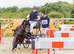 12hh Strikingly Beautiful registered Hackney Driving Pony