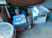 Coldwater gold fish for sale with loads of assesories full kit nothing to buy