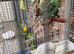 Budgeese for sale