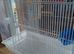 Large White Puerto Rica bird cage with stand