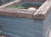 DJB POND FISH REHOMING
