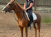 6 year old mare called willow.