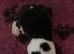 6 amazing puppies