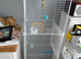 Cage for sale