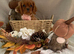Cavalier King Charles