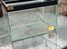 6 x Glass tanks