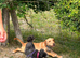 Beautiful Cocker Spaniel cross Pup Looking For Loving Home