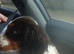 Cocker spaniel