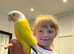 Sun Cheek Conure 31.01.2025