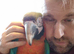 Macaw Parrots