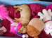Male puppy