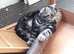 Bsh. Silver Classic Tabby. Ready on the end of June to new homes.