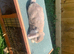 2 girl French lops