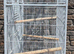 Large Bird Cage For Sale