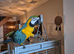 Blue and Gold Macaw