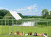 Metal ChickenCoop, ChickenCoop Run, Duck Coop/House, Walk-In Chicken Runs For Yard, Chicken Cage/Pen With Waterproof Cover For Rabbit Duck Chicken
