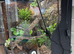 Bio active Dart frog terrarium full set up