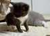 Stunning baby's