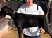 TOP QUALITY DOBERMANN PUPPIES AVAILABLE