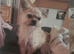 Hi im Archie