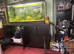 TROPICAL FISH TANK AND FISH