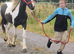 2yr Cob x Welsh filly to make 14.2