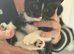 Kitten