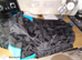 Dog coat for male dog