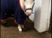 SPSBS filly