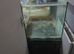 various fish tanks