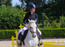 Dapple grey mare