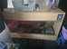 Royal python plus set up