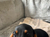 3 beautiful Black and Tan miniature dachshund girls available