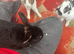 3 male buns