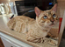 STUD. SNOW BENGAL