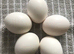 Exchequer Leghorn (Large Fowl) Hatching eggs x 6 eggs