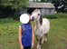 Springlane Mercury Registered Welsh Section A Gelding