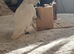 Cockatoo 15 weeks old supper tame female dna