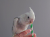 Hand reared silly tame DNA sexed baby cockatiels