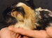 Beautiful singe baby boy needs a friend