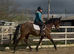 4yo smart Barney bear