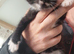 2 kittens