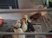 4 mixed breed chickens