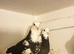 Birmingham roller pigeons!