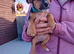 Border lakeland Russell pups