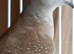 Diamond dove