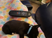 Tiny tiny male pup looking for new home