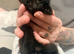 Kittens ready now