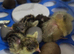 Cute button quail chicks