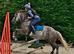 A stunning 14hh pony for sale